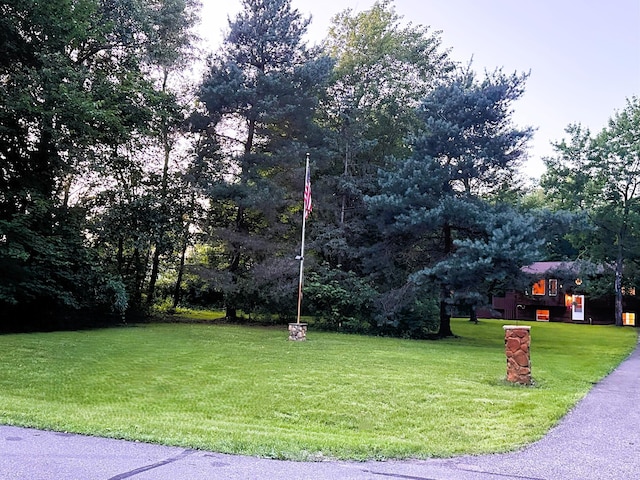 4581 214th Ave NW, Oak Grove, MN 55303 - photo 23