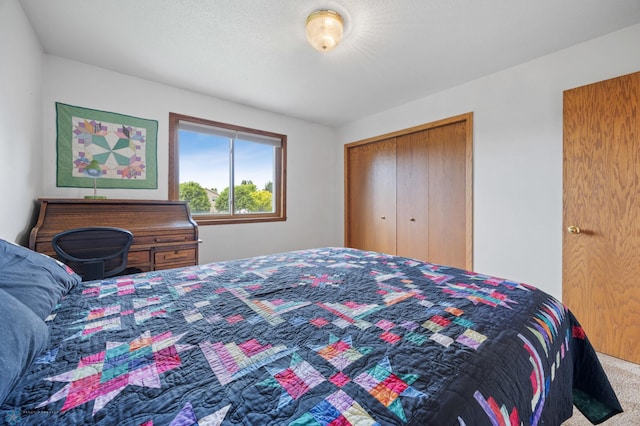 3306 26th Ave S, Fargo, ND 58103 - bedroom featuring a closet