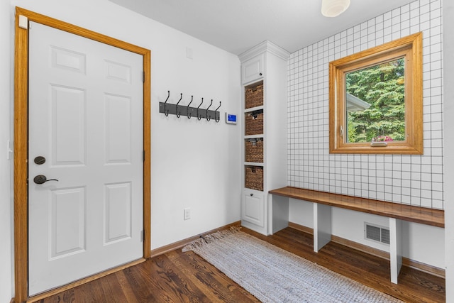 13870 Daphne Ln, Rosemount, MN 55068 - mudroom featuring dark wood finished floors and baseboards