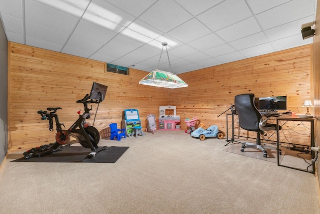 13870 Daphne Ln, Rosemount, MN 55068 - workout area with wooden walls, carpet floors, and a drop ceiling