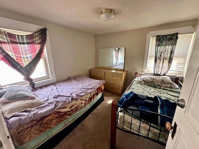 506 Marshall St, Marshall, MN 56258 - carpeted bedroom featuring multiple windows