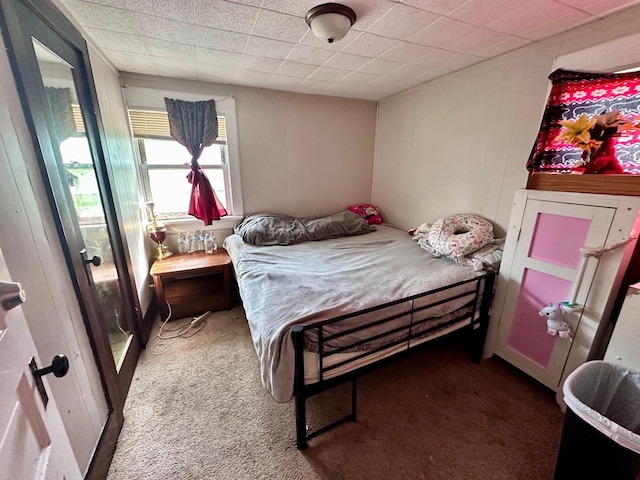 506 Marshall St, Marshall, MN 56258 - view of carpeted bedroom