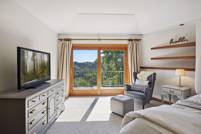10481 Bluff Rd, Eden Prairie, MN 55347 - bedroom with carpet and access to outside