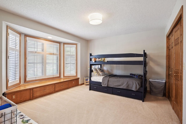 10481 Bluff Rd, Eden Prairie, MN 55347 - bedroom with carpet and a textured ceiling