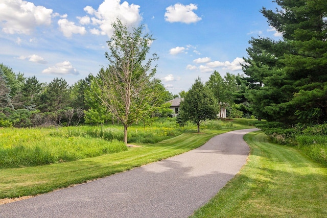 13390 26th St N, West Lakeland Twp, MN 55082 - view of property's community with a lawn