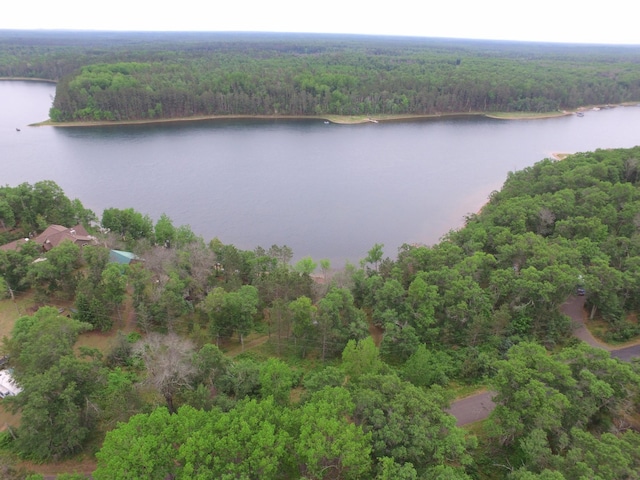3777 Deer Lake Dr, Danbury, WI 54830 - drone / aerial view of a forest and a nearby body of water