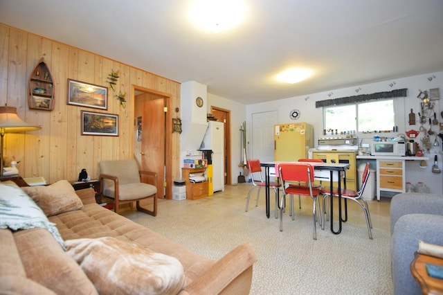 3777 Deer Lake Dr, Danbury, WI 54830 - living room featuring wood walls