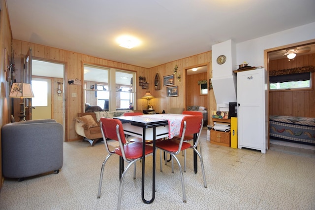 3777 Deer Lake Dr, Danbury, WI 54830 - dining area featuring wood walls and plenty of natural light