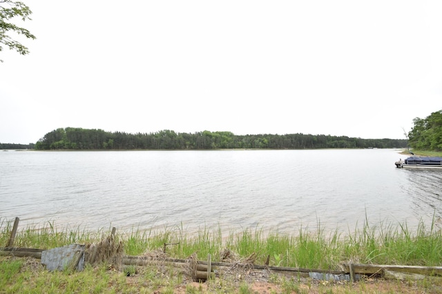 3777 Deer Lake Dr, Danbury, WI 54830 - water view featuring a forest