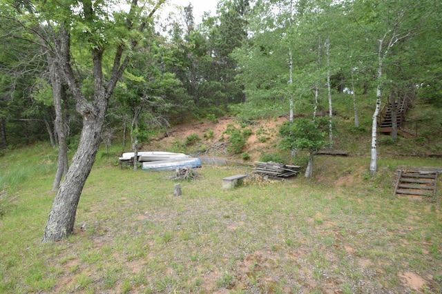 3777 Deer Lake Dr, Danbury, WI 54830 - view of yard with stairway