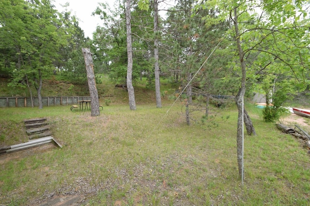 3777 Deer Lake Dr, Danbury, WI 54830 - view of yard
