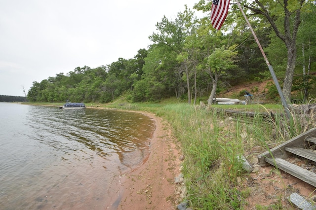 3777 Deer Lake Dr, Danbury, WI 54830 - water view with a heavily wooded area