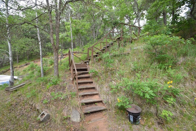 3777 Deer Lake Dr, Danbury, WI 54830 - view of yard featuring stairway
