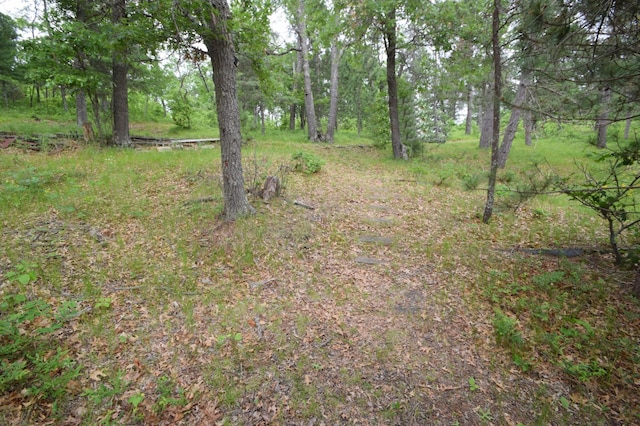 3777 Deer Lake Dr, Danbury, WI 54830 - view of yard