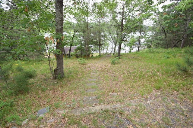 3777 Deer Lake Dr, Danbury, WI 54830 - view of yard