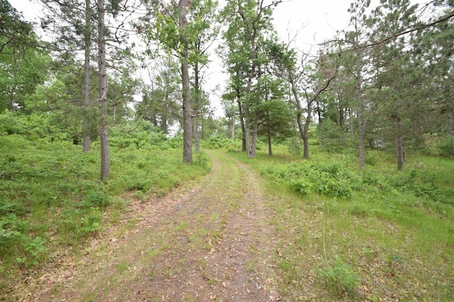 3777 Deer Lake Dr, Danbury, WI 54830 - view of wooded area