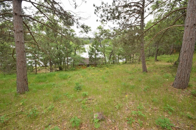 3777 Deer Lake Dr, Danbury, WI 54830 - view of yard