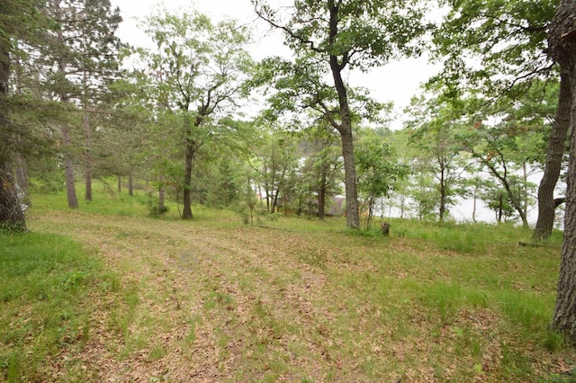 3777 Deer Lake Dr, Danbury, WI 54830 - view of nature