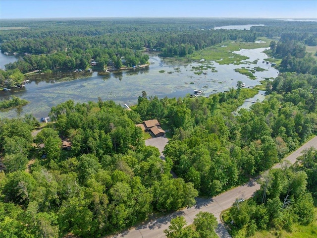 15473 Wilderness Trl, Crosslake, MN 56442 - view of property location with a heavily wooded area and a nearby body of water