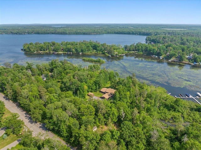 15473 Wilderness Trl, Crosslake, MN 56442 - aerial overview of property's location featuring a large body of water