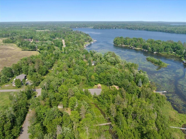 15473 Wilderness Trl, Crosslake, MN 56442 - aerial view of property and surrounding area featuring a heavily wooded area and a large body of water