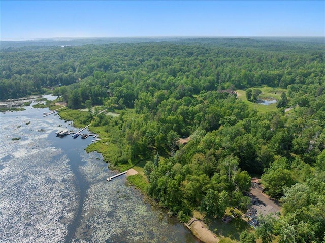 15473 Wilderness Trl, Crosslake, MN 56442 - view of property location featuring a forest and a large body of water