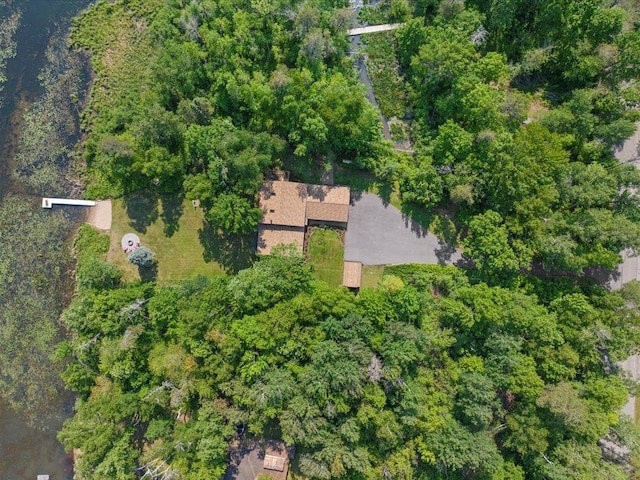 15473 Wilderness Trl, Crosslake, MN 56442 - view of property location