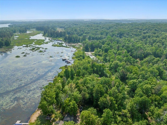 15473 Wilderness Trl, Crosslake, MN 56442 - bird's eye view of a heavily wooded area and a large body of water