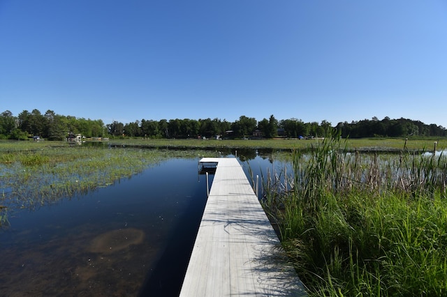 15473 Wilderness Trl, Crosslake, MN 56442 - dock area with a water view