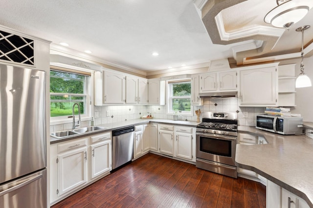 9351 Ermine Blvd NW, Ramsey, MN 55303 - kitchen with appliances with stainless steel finishes, under cabinet range hood, ornamental molding, white cabinets, and dark wood-type flooring