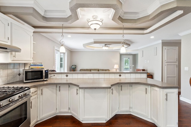 9351 Ermine Blvd NW, Ramsey, MN 55303 - kitchen featuring appliances with stainless steel finishes, ornamental molding, under cabinet range hood, a raised ceiling, and white cabinets