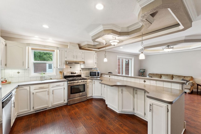 9351 Ermine Blvd NW, Ramsey, MN 55303 - kitchen with appliances with stainless steel finishes, under cabinet range hood, a peninsula, crown molding, and white cabinets