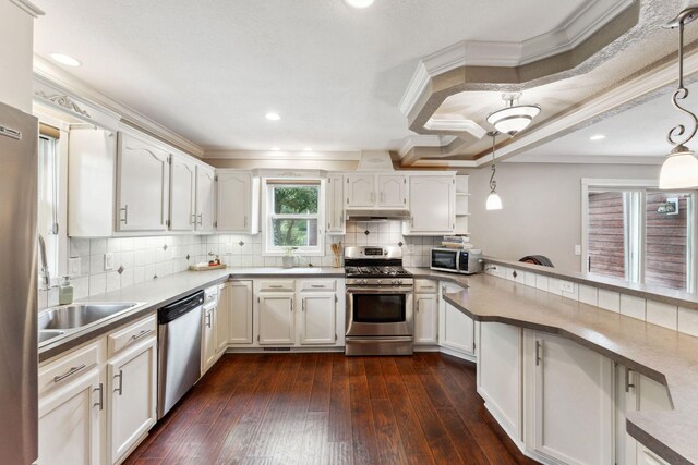 9351 Ermine Blvd NW, Ramsey, MN 55303 - kitchen with appliances with stainless steel finishes, under cabinet range hood, crown molding, dark wood-type flooring, and white cabinetry