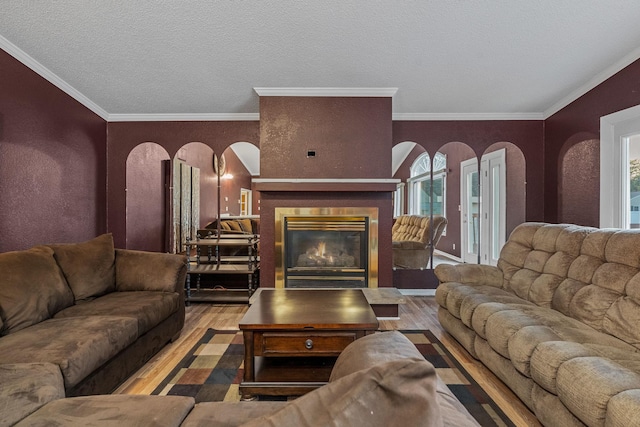 2101 6th Ave NE, Austin, MN 55912 - living area with wood finished floors, a glass covered fireplace, healthy amount of natural light, arched walkways, and crown molding