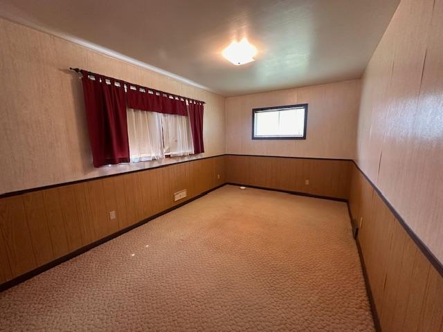 21 Glen Cir, Babbitt, MN 55706 - carpeted empty room featuring wood walls and a wainscoted wall