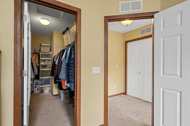 1949 Commonwealth Blvd Unit 2, Chanhassen, MN 55317 - hallway with carpet and a textured ceiling