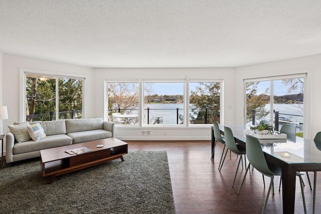 4450 Forest Lake Lndg, Orono, MN 55364 - living area featuring a textured ceiling, wood finished floors, healthy amount of natural light, and a water view