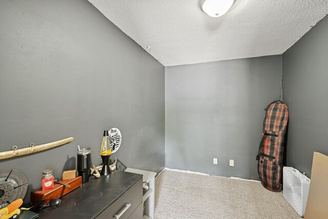 7656 Irish Avenue Ct S, Cottage Grove, MN 55016 - photo 21