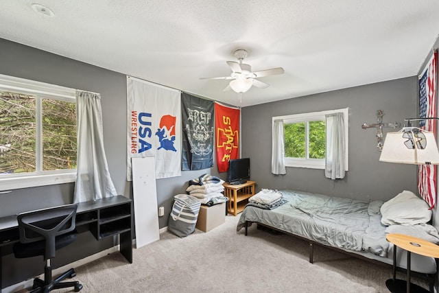 7656 Irish Avenue Ct S, Cottage Grove, MN 55016 - photo 26