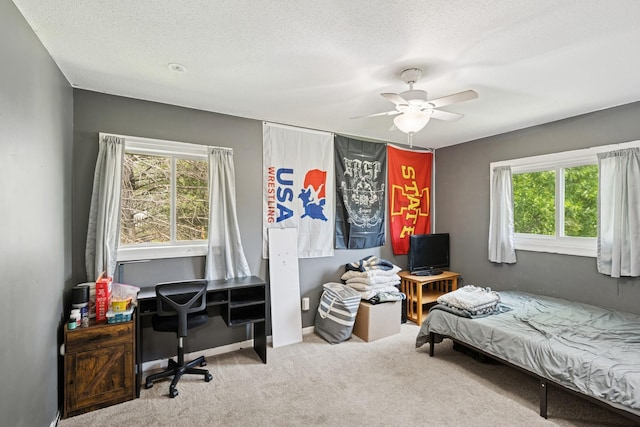 7656 Irish Avenue Ct S, Cottage Grove, MN 55016 - photo 27