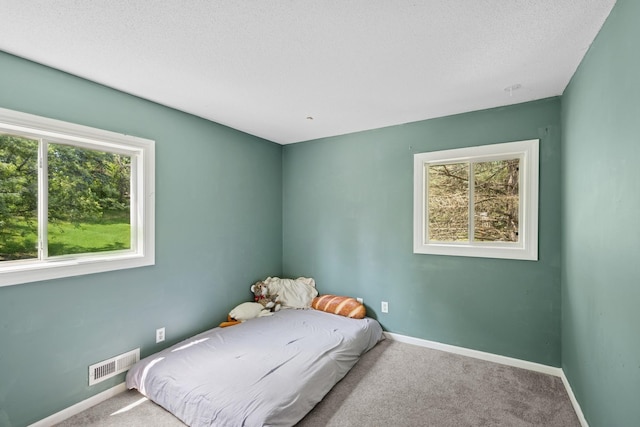 7656 Irish Avenue Ct S, Cottage Grove, MN 55016 - photo 28