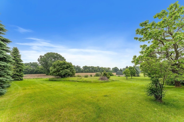 21233 Pierce St NE, East Bethel, MN 55011 - view of green lawn