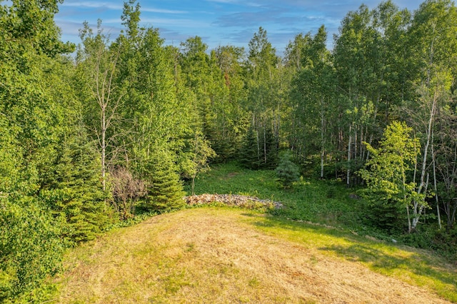 3382 Breezy Point Rd, Greenwood Twp, MN 55790 - view of yard featuring a wooded view