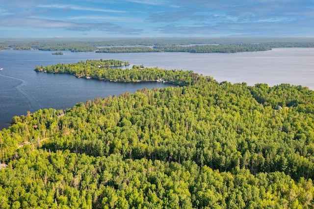 3382 Breezy Point Rd, Greenwood Twp, MN 55790 - drone / aerial view of a heavily wooded area and a large body of water