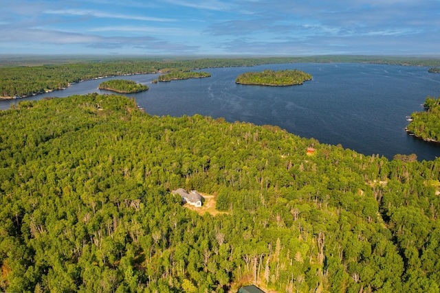 3382 Breezy Point Rd, Greenwood Twp, MN 55790 - aerial view of a forest and a large body of water