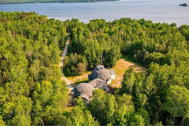 3382 Breezy Point Rd, Greenwood Twp, MN 55790 - view of subject property with a forest and a nearby body of water