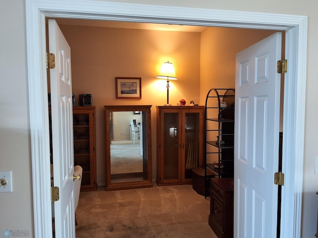 3307 38th St S, Moorhead, MN 56560 - view of carpeted foyer entrance