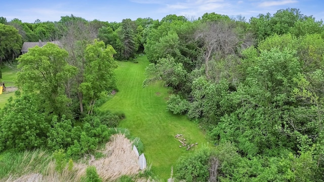 915 Brown Rd, Long Lake, MN 55356 - photo 1