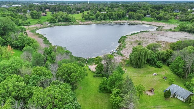 915 Brown Rd, Long Lake, MN 55356 - photo 4