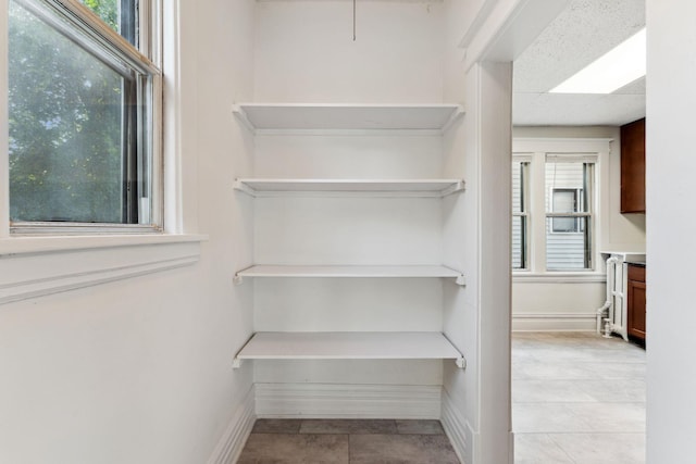 786 Iglehart Ave, Saint Paul, MN 55104 - view of storage area